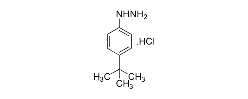 Structure of 4-TERT-BUTYLPHENYLHYDRAZINE MONOHYDROCHLORIDE