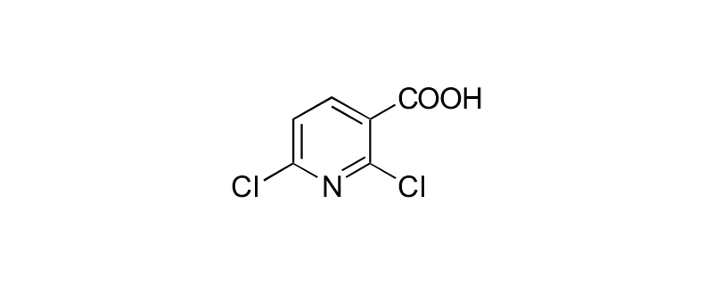 Structure of 2,6-DICHLORONICOTINIC ACID
