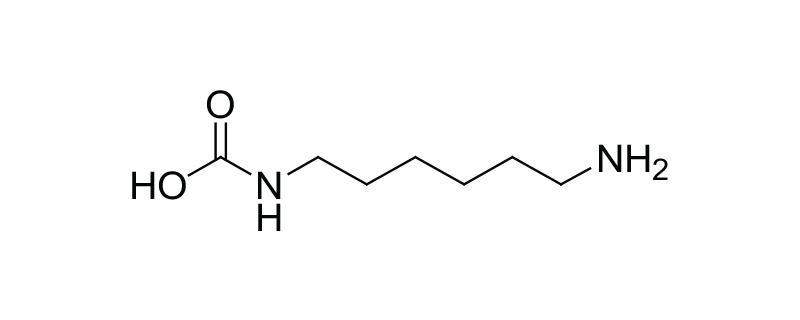 Structure of HEXAMETHYLENEDIAMINE CARBAMATE