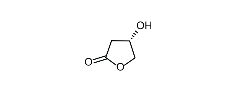 Structure of (S)-3-HYDROXY-GAMMA-BUTYROLACTONE