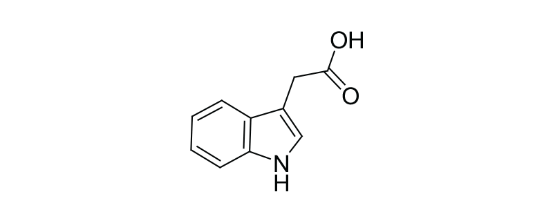 Structure of INDOLE-3-ACETIC ACID