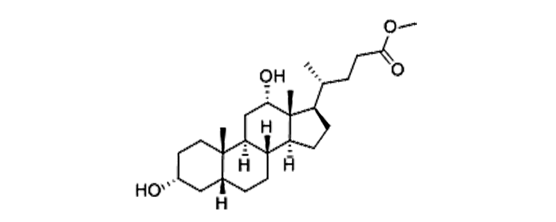Structure of METHYL DEOXYCHOLATE