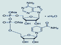 Structure of NADH, DISODIUM SALT